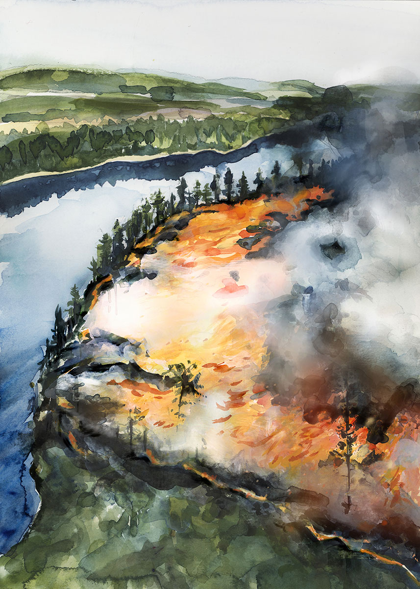 Skogsbrand illustration för Länsstyrelsen av Magnus Sjöberg
